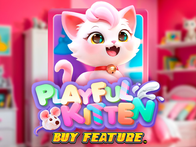 Playful Kitten Buy Feature (Kaga)